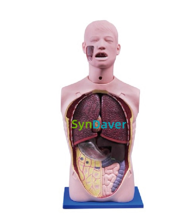 04131739c71b276328248d82d82de085