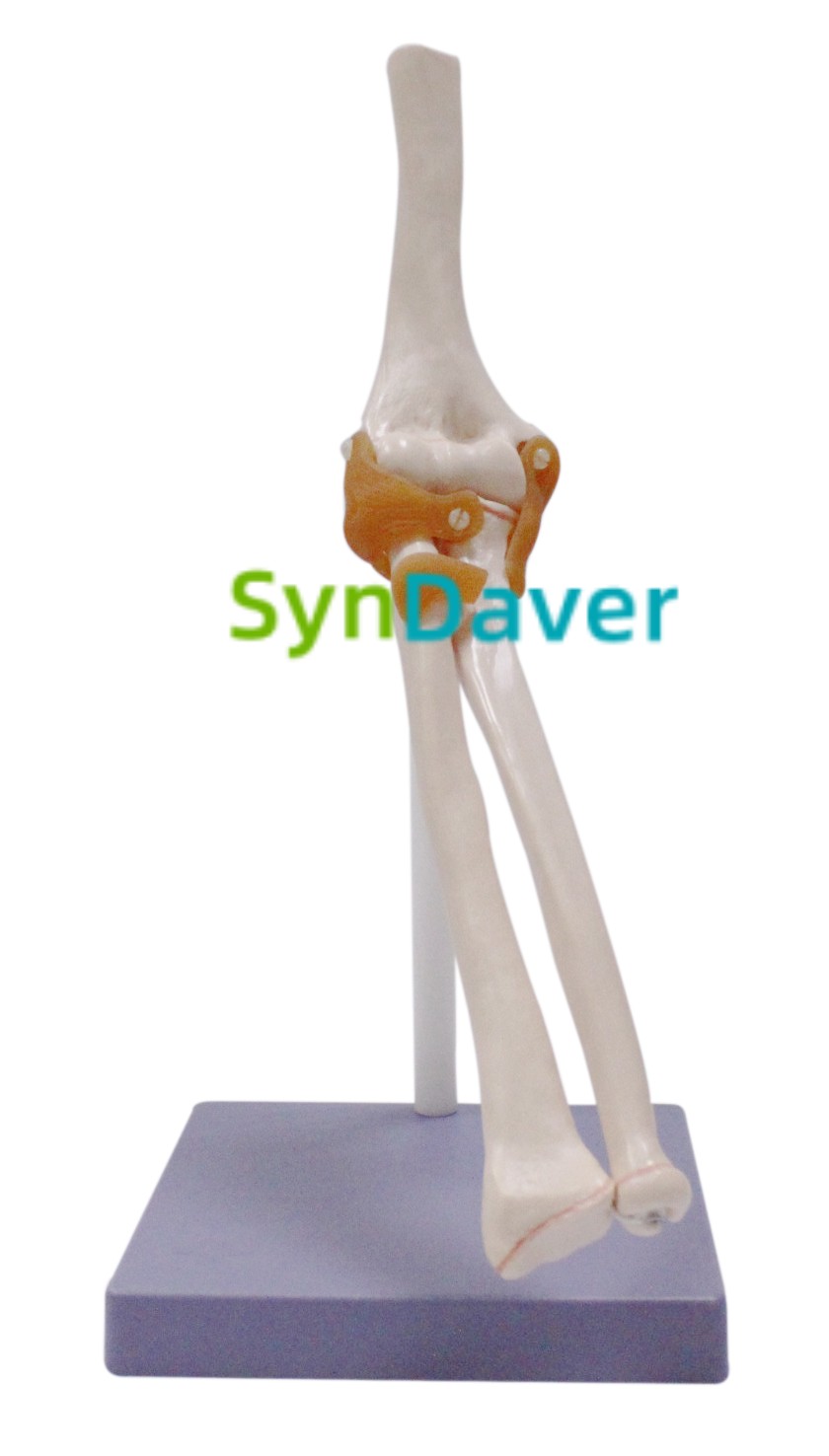 6b3079230e068fcf5eb18ac9c8b4fa32