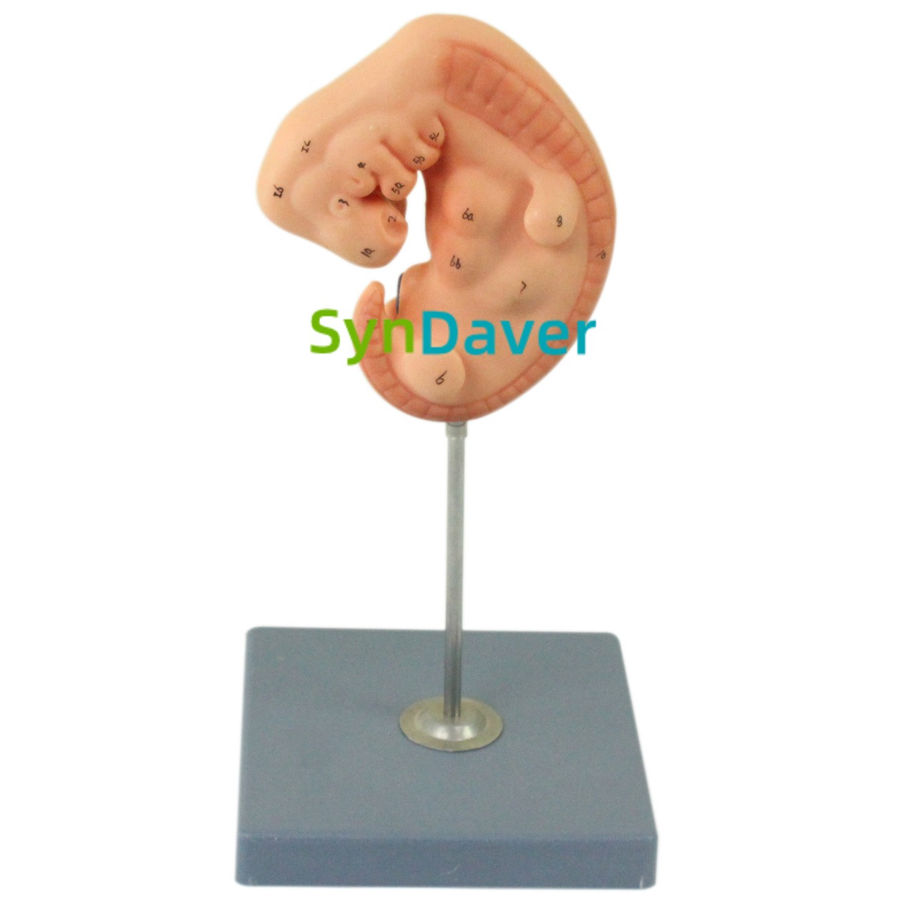 6b5ed125a5e21c437aaf88b3090020eb