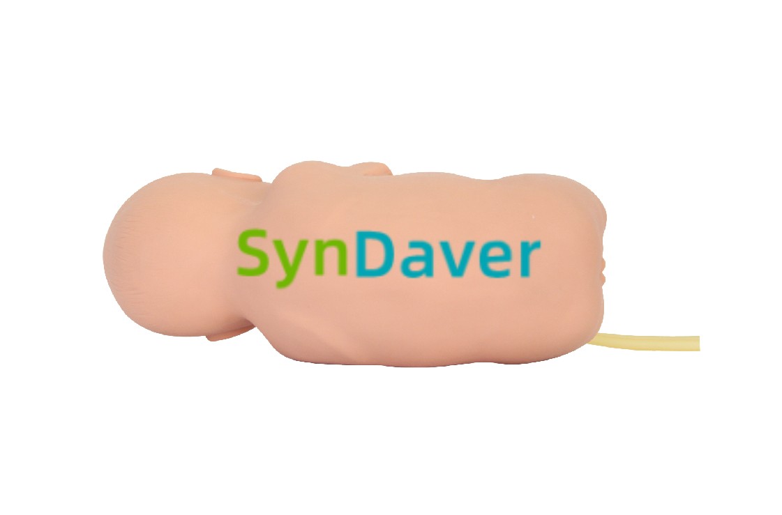 8635c36ab85a4974a77e388c596b720e