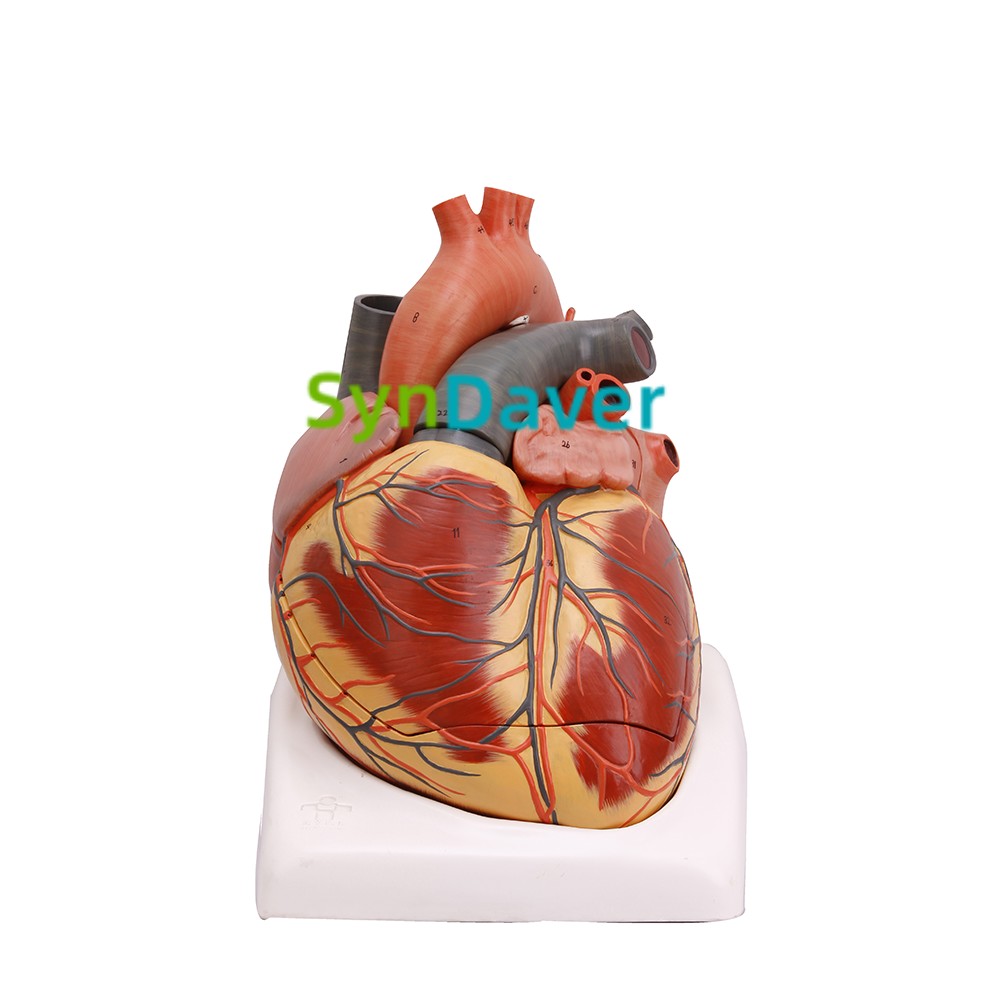 21d5f87fae0c9df803e8139a20971f96