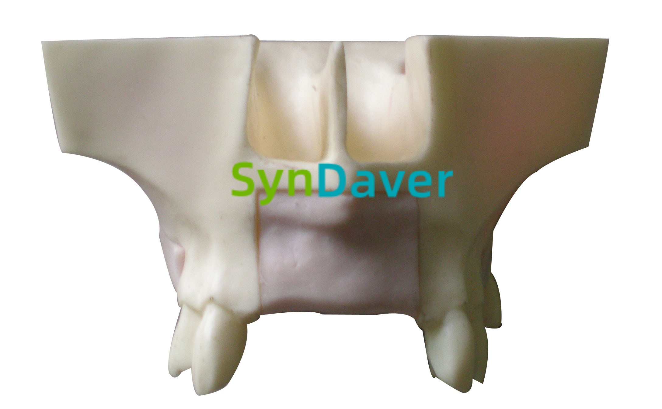 b2a65cc3affff8c368bdf08e6361900a