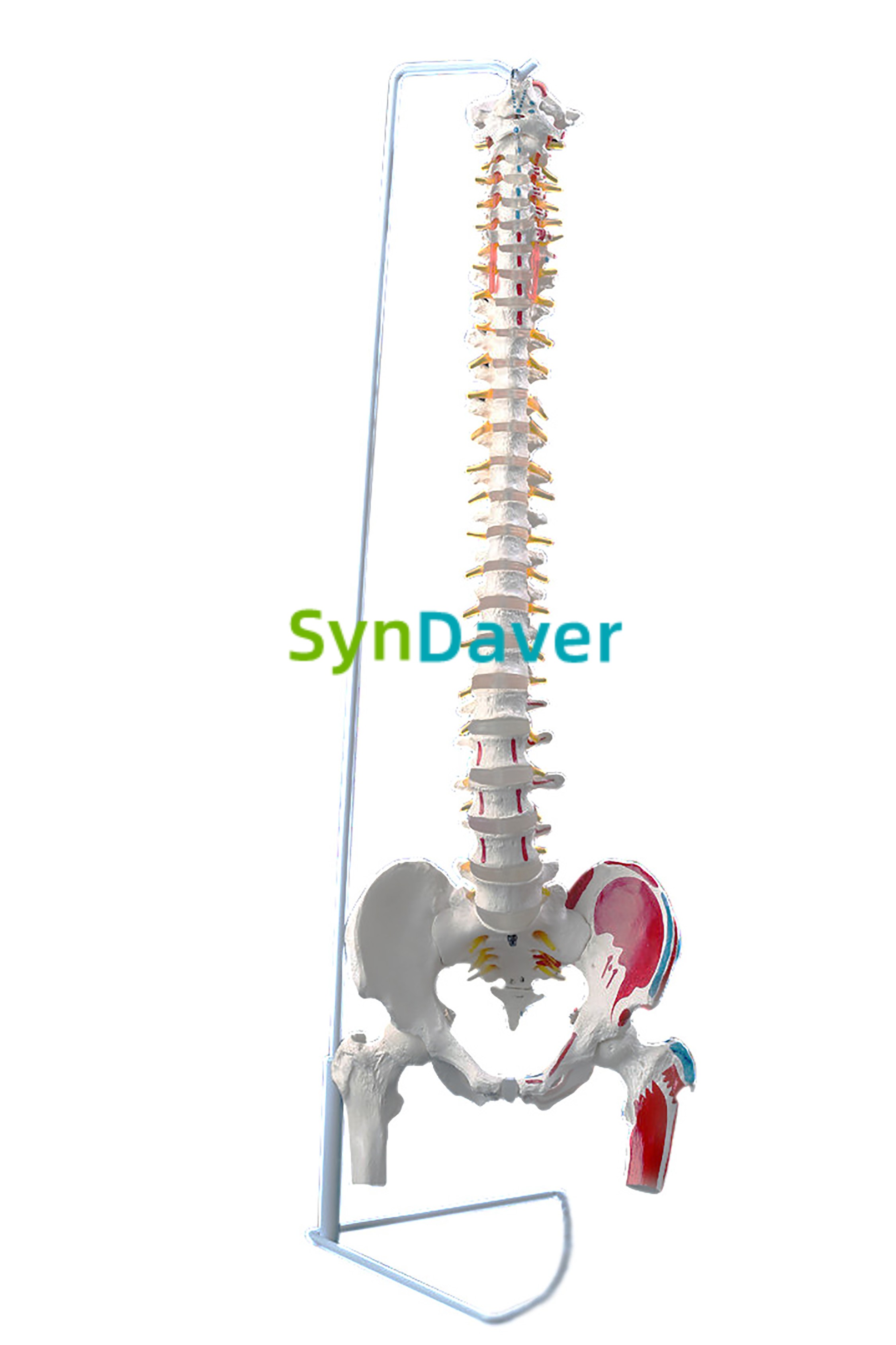 4ff48c2d498711c4e4ab14ab330b5284