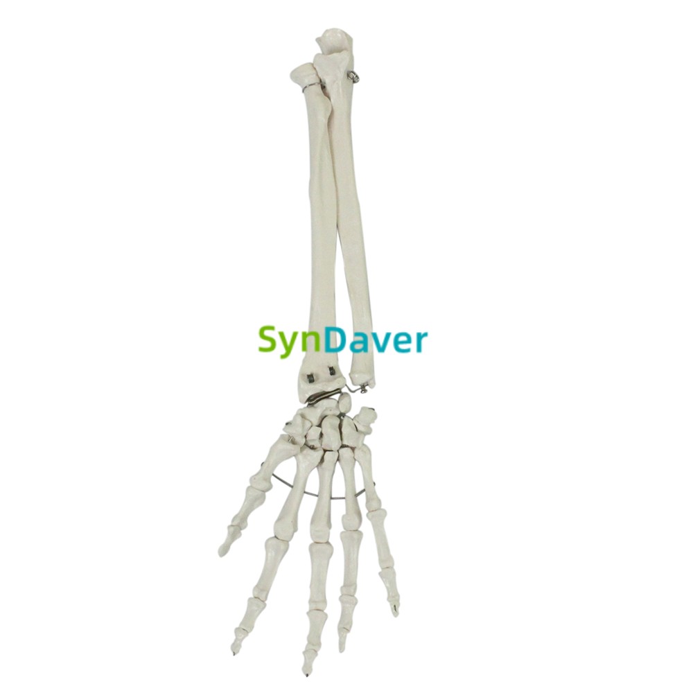 2697532ea26f10e6c41fd650e2755e6c