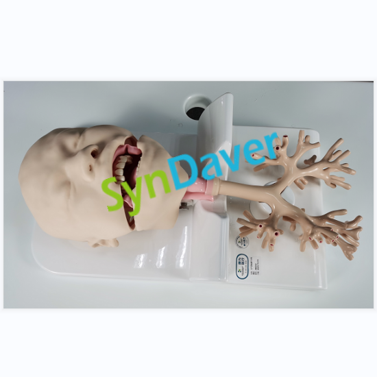 微信图片_20220926095013_副本