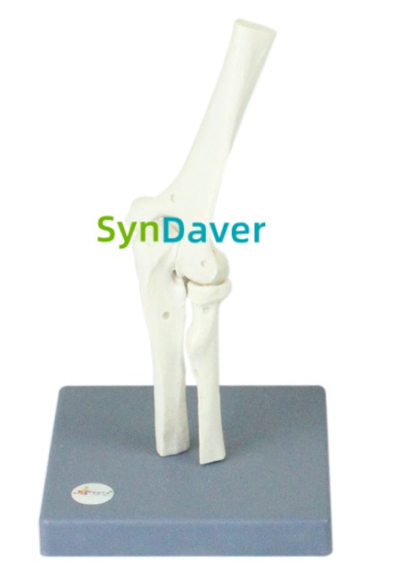 fd5c058ac9abdc604515021d6af403d3