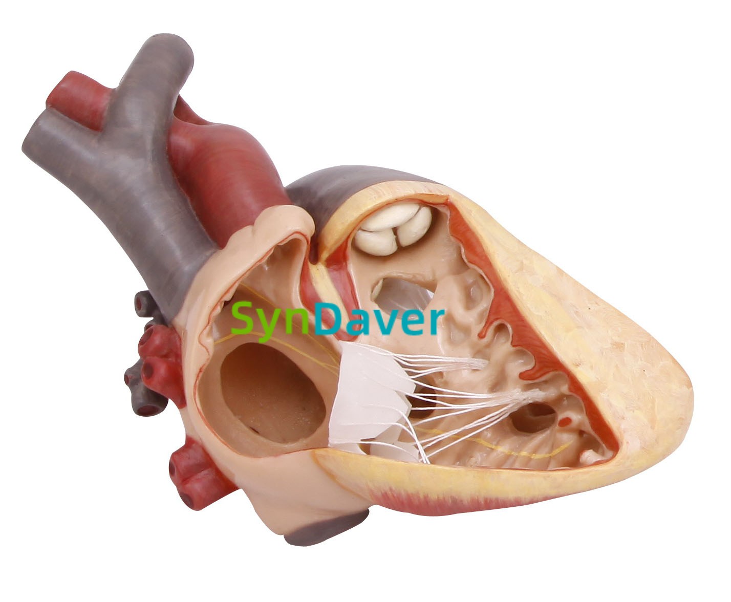 e009189c40ffe36e2e03eebf561c8a35