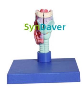 a646c005e6631ce2cb90b5b3973fca2b