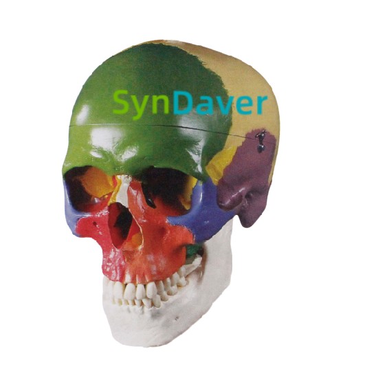 8ba53494ec269cf9531fd90d752976f1