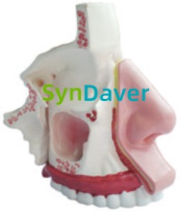 c4dcd5ac8f11250b3595ece722189fcc