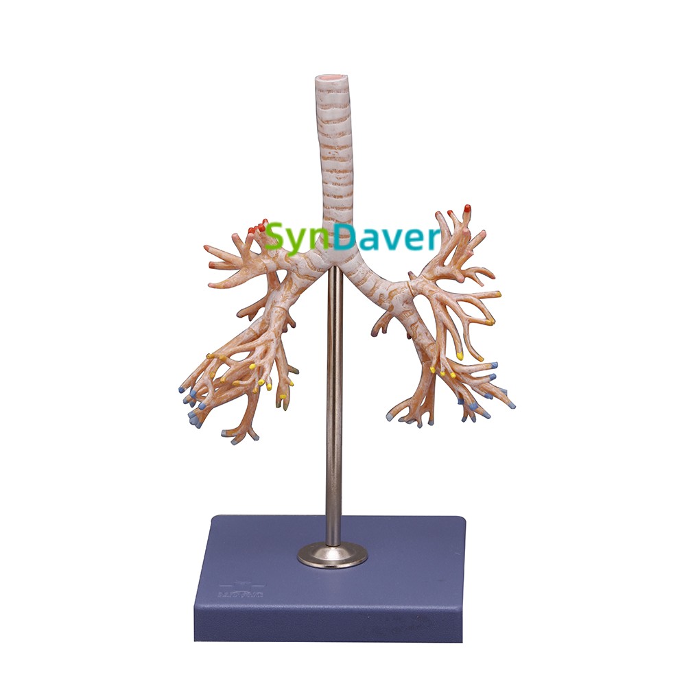 e84aa3648d8981e000467e27a47dc5e8