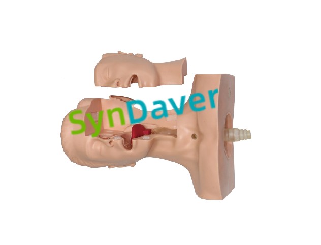 0e5e587c813ac6e31ff820400c7ed317