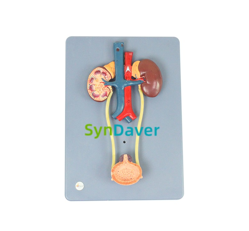 75afc6e7a6ffc877ec52760fe0e6f79d