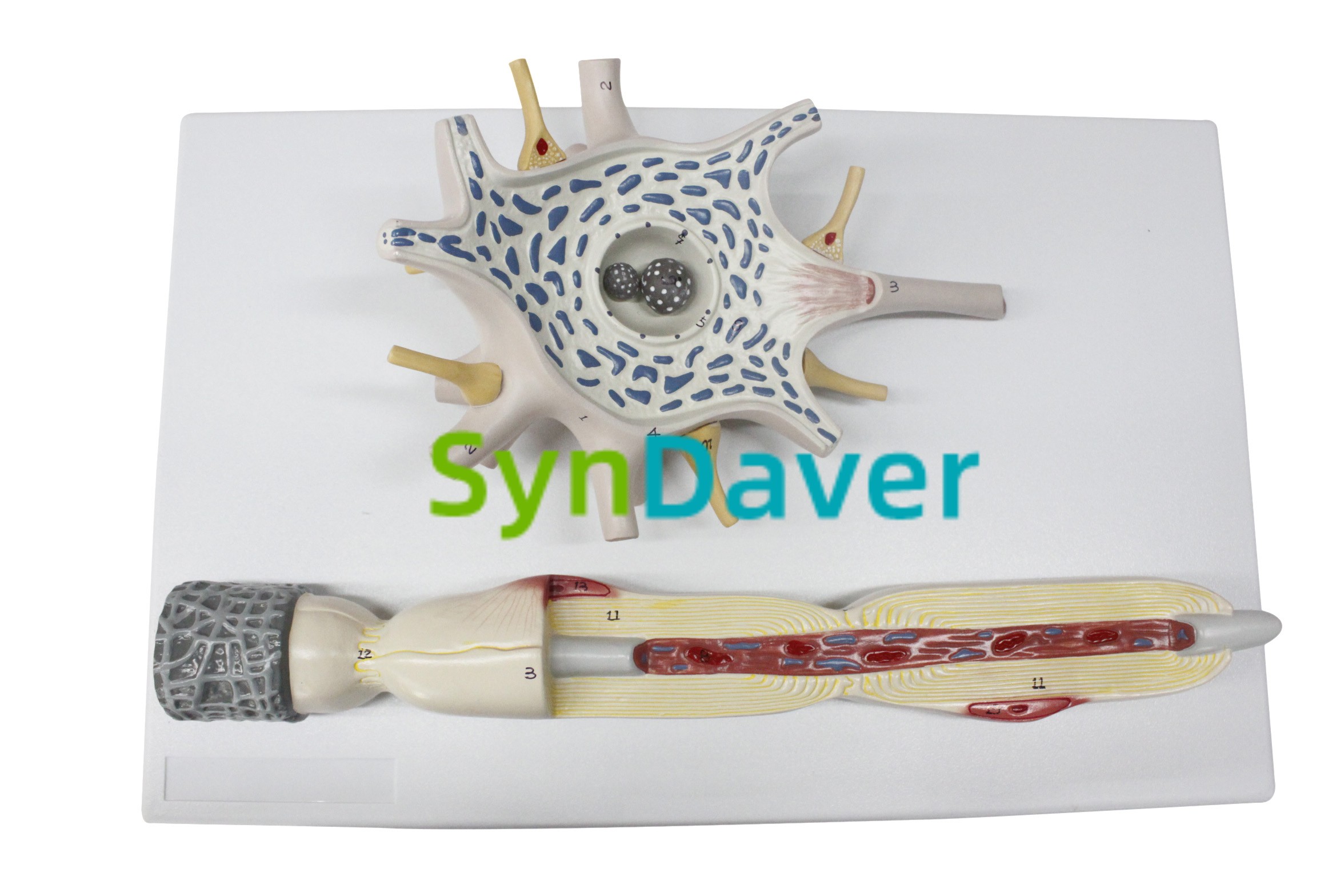 ddc9a76c70b73dd91dbf1b4a14ae3a74