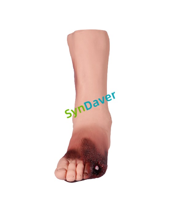 9227f97c79ea58cae6211fbcad05041a