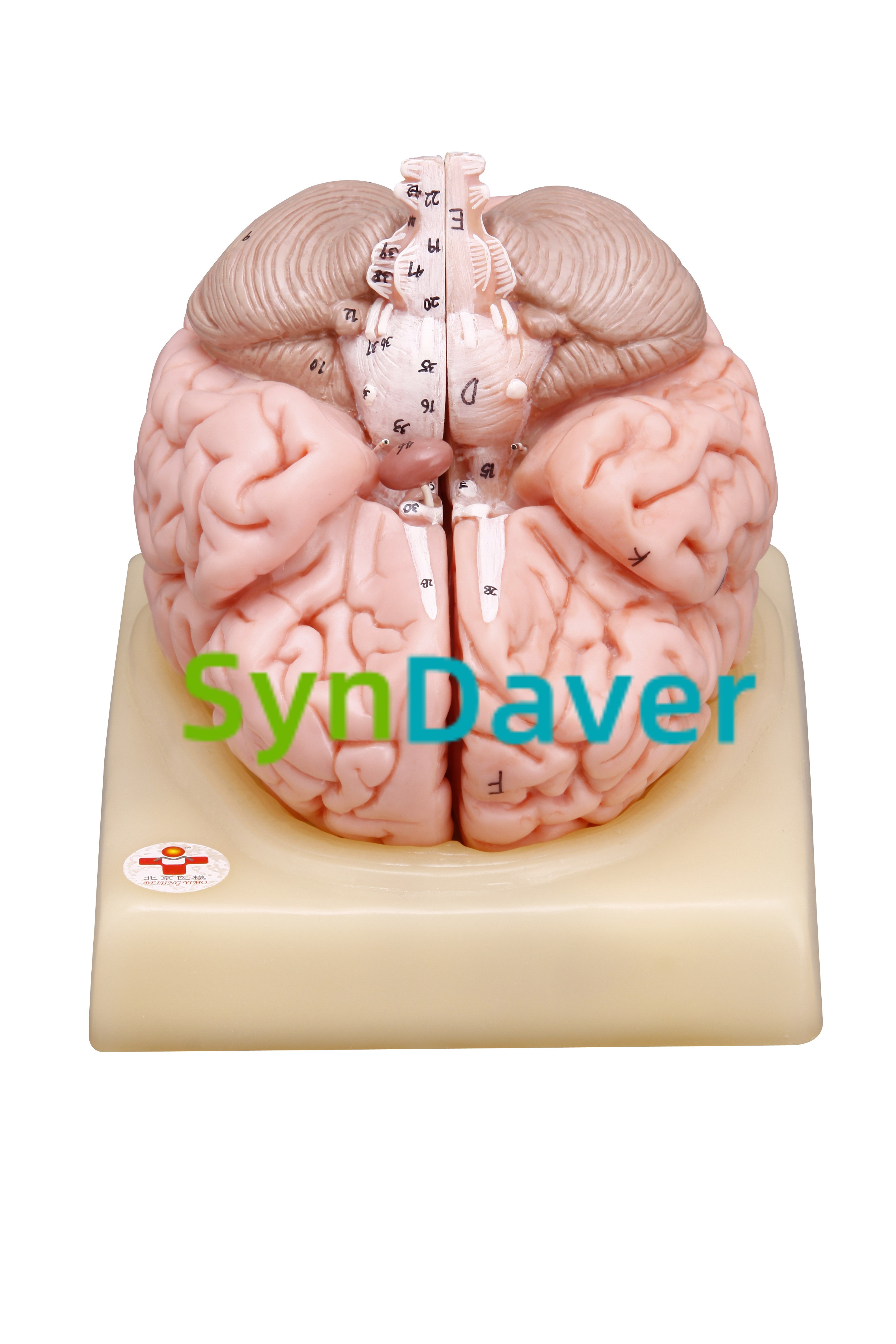 abcd3ba308b934304452795bef9648b3