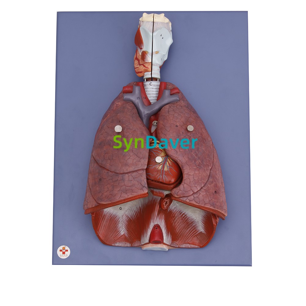 ff33e94ac5ea4a0f162e126b837c47ff