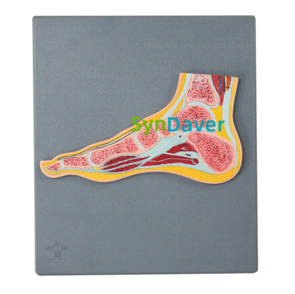 d8551256cf12b5eb5224b181d0e112d3