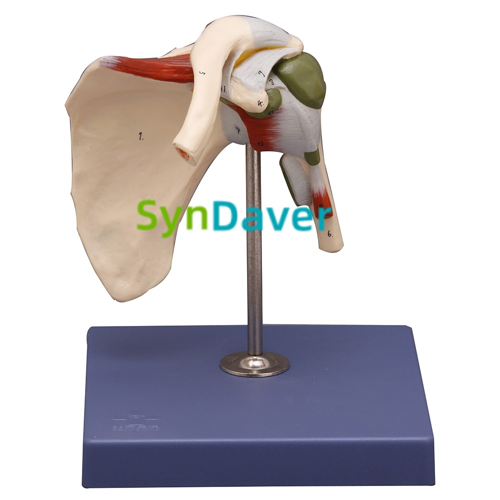 0fa4d7aa4b2b6d1568774c47af92c3b3