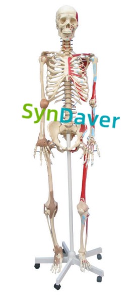 e19720e7d112812f34473d18e6b39688