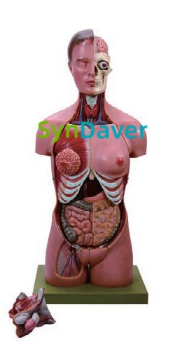 5ef5484b010ad1331b9a9cb450da141b