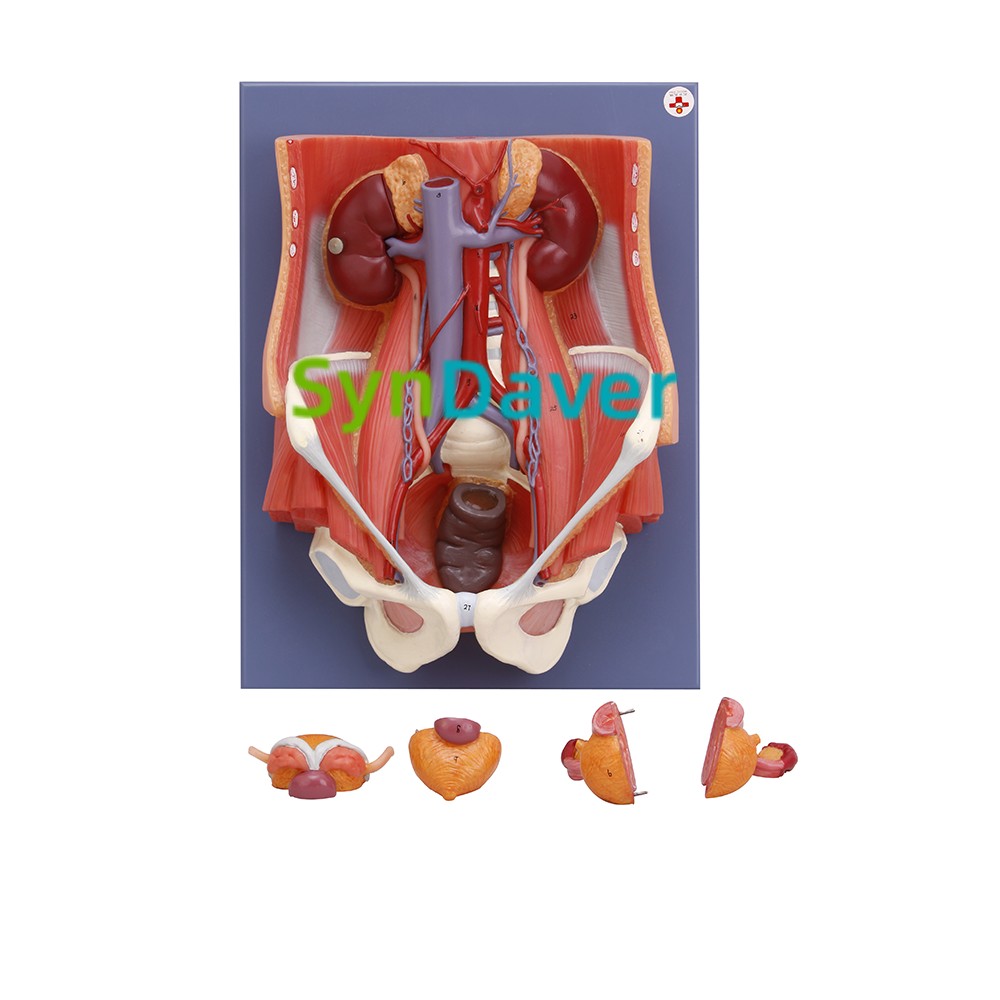 8efe831517af29616a0c0cf60f6a3f09