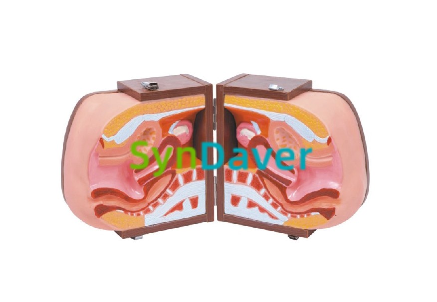 7597cdc83deaeba01ff20052261b6402