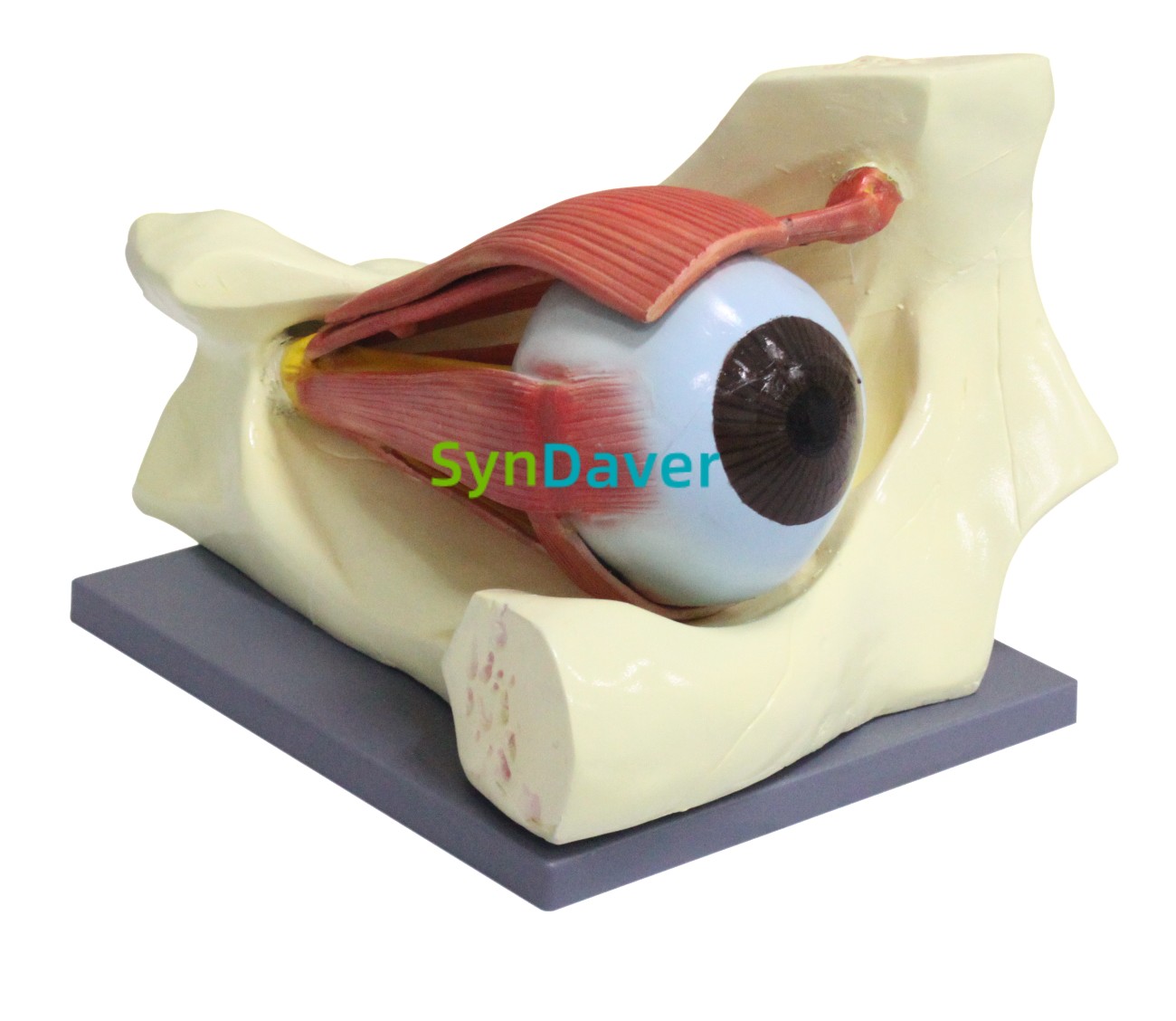 1f9e27999162a0c540bbf0cf37e8f570