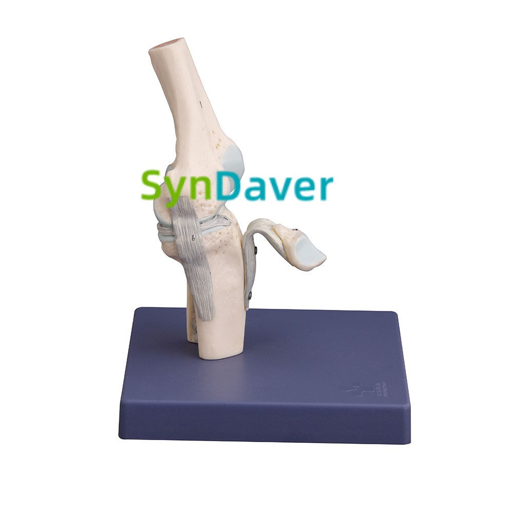 cd17ff5efb2f4c4d595cefd275d3796a