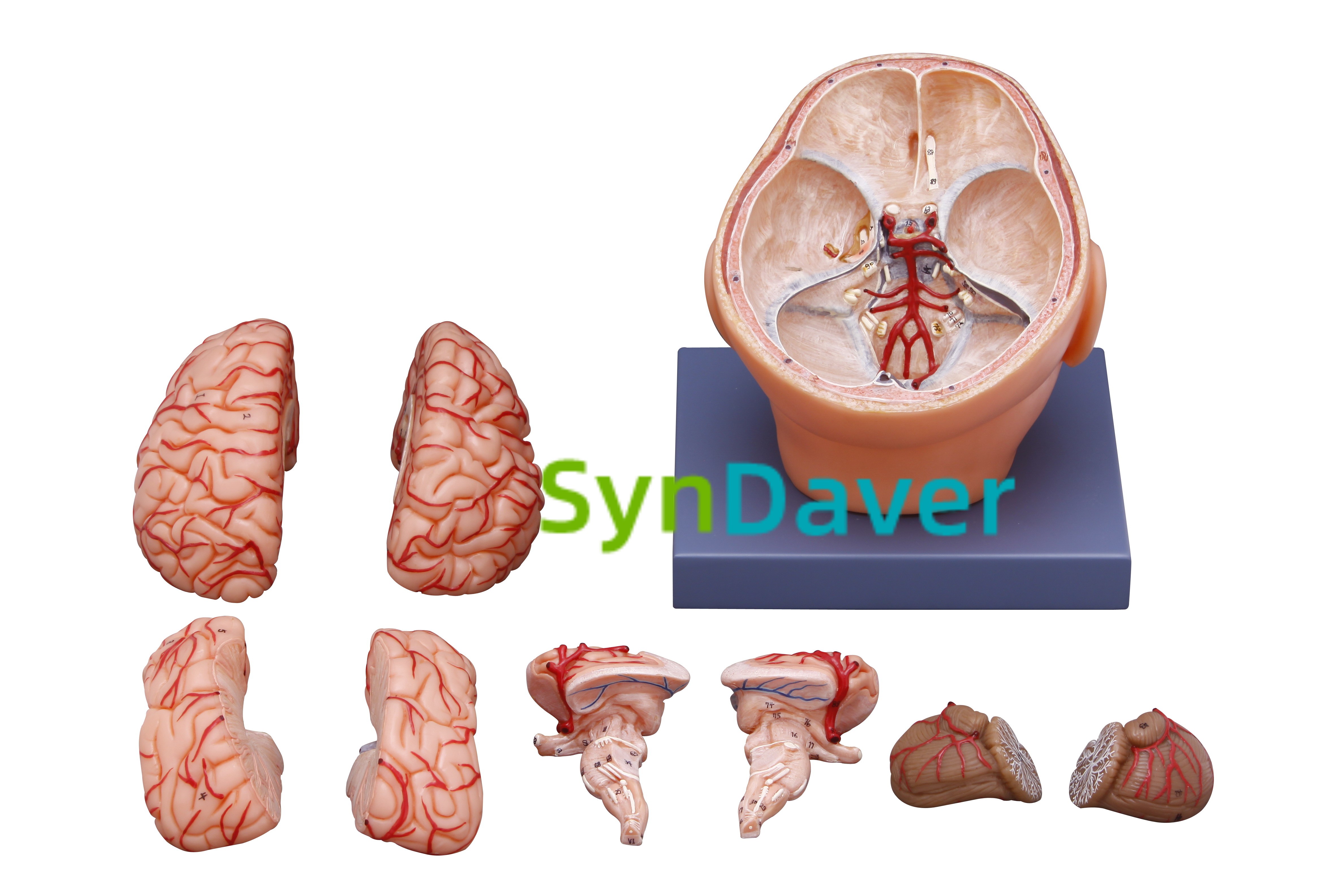 d2881663dd8bf2aab6aad8c5ad51024a