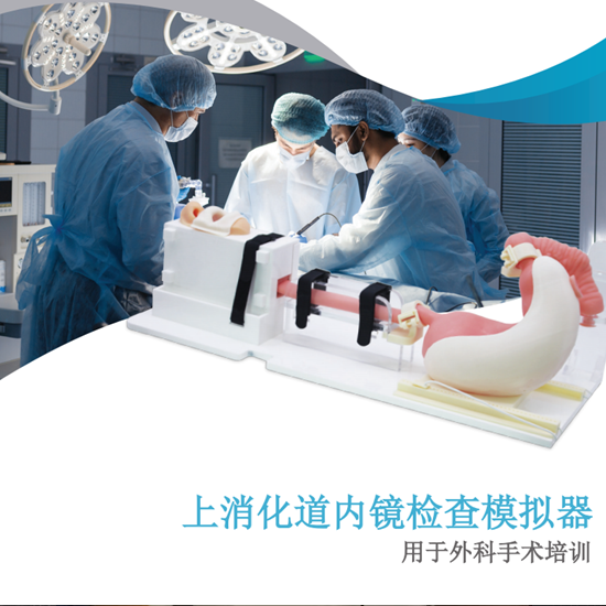 微信图片_20240111100711_副本